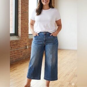 Lane Bryant Wide-Leg Cropped Jeans in Blue Denim